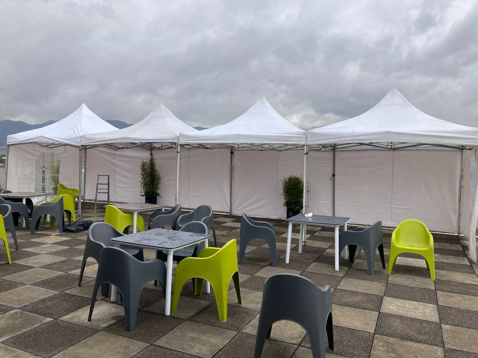 Alquiler de carpas